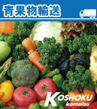 お引越しの運搬